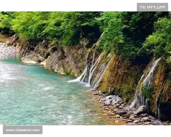 炎热夏季,年过者需谨慎:专家建议少饮这两类“水”以防喉咙不适 炎热夏季,年过者需谨慎:专家建议少饮这两类“水”以防喉咙不适