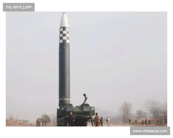 白俄罗斯防长警告:国家已做好使用战术核武器的准备(白俄罗斯防空导弹) 白俄罗斯防长警告:国家已做好使用战术核武器的准备(白俄罗斯防空导弹)