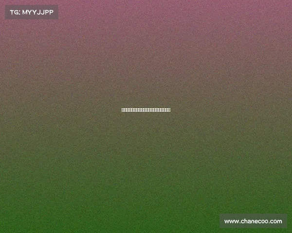 意大利杯亚特兰大对阵国际米兰帕洛米诺解围