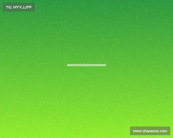 美国与俄罗斯核对抗升温：为何印太地区成为全球安全新焦点